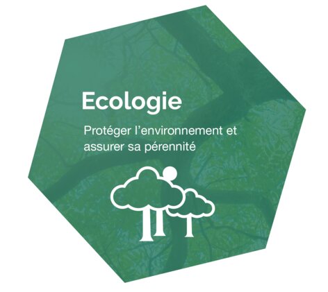 Darstellung des ökologischen Unternehmensziel von Elco