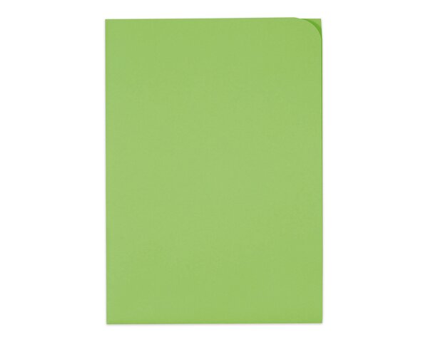 Ordo discreta vert intense, sans fenêtre, 120 g/m²  Ordo Chemises de classement, Organisation et pré­sentation, Ordo discreta