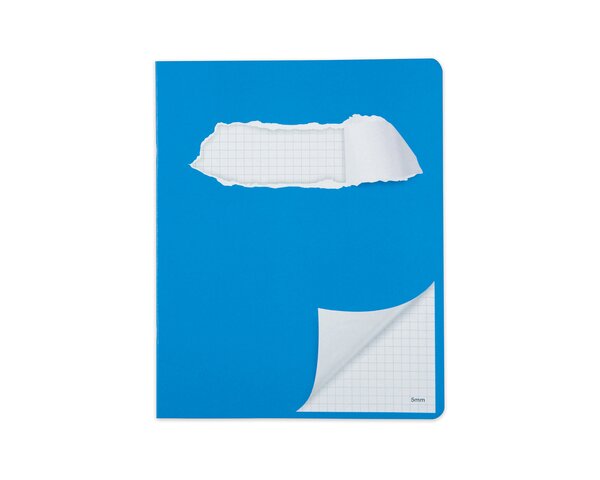 Cahier scolaire Office au format 175 x 220 mm, quadrillé 5 mm, 24 feuilles  Cahiers scolaires, Blocs, carnets et papier à écrire